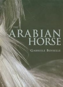 Obrazek Arabian Horse