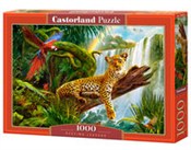 Zobacz : Puzzle Res...