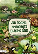 Polska książka : Od...do. J... - Liliana Fabisińska