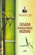 polish book : Zasada bam... - Kenneth Lodi