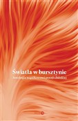 Światła w ... -  Polish Bookstore 