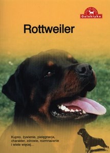 Picture of Rottweiler