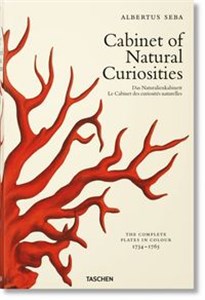 Obrazek Cabinet of Natural Curiosities