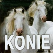 Książka : Konie - Opracowanie Zbiorowe