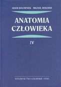 Anatomia c... - Adam Bochenek, Michał Reicher -  Książka z wysyłką do UK