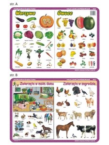 Obrazek Podkładka edu. 003 - Warzywa, owoce, zwierzęta