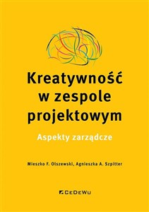 Picture of Kreatywność w zespole projektowym. Aspekty zarządcze Aspekty zarządcze