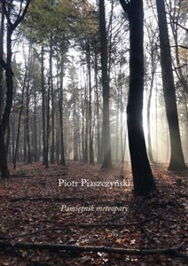 Picture of Pamiętnik meteopaty