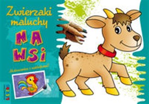 Picture of Zwierzaki maluchy Na wsi Malowanka z naklejkami