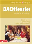 Dachfenste... - Elżbieta Reymont, Agnieszka Sibiga, Małgorzata Jezierska-Wiejak -  Polish Bookstore 