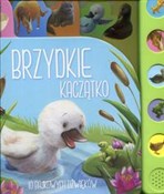 polish book : Brzydkie k... - Opracowanie Zbiorowe