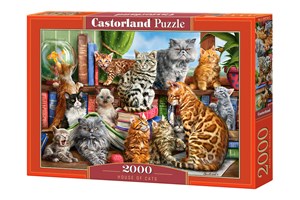 Picture of Puzzle 2000 House of Cats
