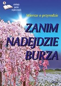 Picture of Zanim nadejdzie burza