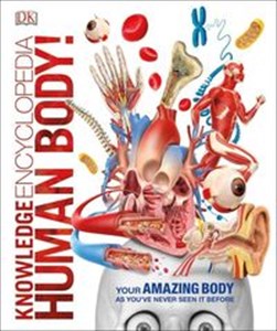 Obrazek Knowledge Encyclopedia Human Body