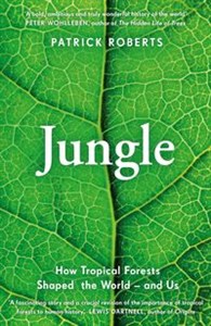 Obrazek Jungle