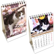 Kalendarz ... -  Książka z wysyłką do UK