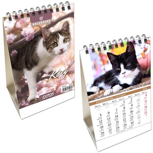 Picture of Kalendarz 2026 biurkowy pionowy Koty