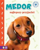 Medor najl... - Kwietniewska-Talarczyk Marzena - Ksiegarnia w UK