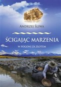 Ścigając m... - Andrzej Śliwa -  books from Poland