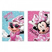 Polska książka : Teczka z g...