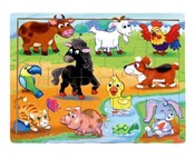 Książka : TOP BRIGHT...