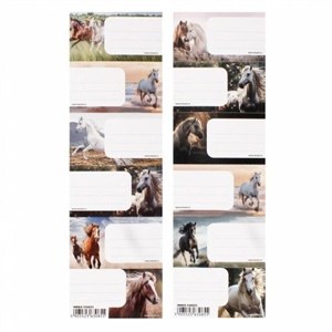 Obrazek Naklejki na zeszyt Konie (25szt)