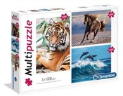 Multipuzzl... - Ksiegarnia w UK