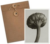 Książka : Karnet BF5...