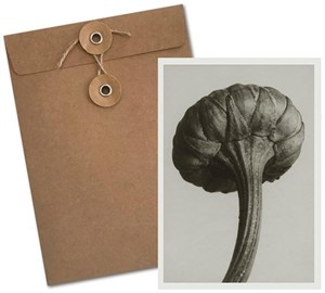 Picture of Karnet BF5-103 Jastrun właściwy