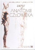 Zarys anat... - Adam Krechowiecki, Florian Czerwiński -  foreign books in polish 