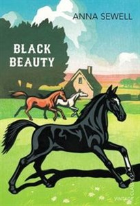 Picture of Black Beauty