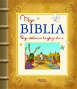 Polska książka : Moja Bibli... - Karine-Marie Amiot, Christophe Raimbault, Francois Campagnac