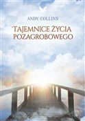 Tajemnice ... - Andy Collins -  books from Poland