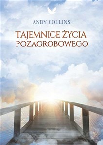 Obrazek Tajemnice życia pozagrobowego