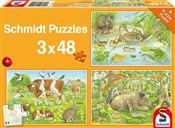 Polska książka : Puzzle 3x4...