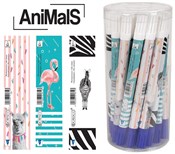 Książka : Wymazywacz...