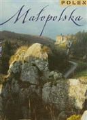 Małopolska... -  foreign books in polish 