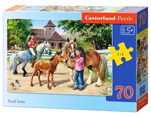 Picture of Puzzle Stud farm 70