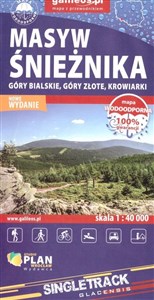 Obrazek Mapa syntetyczna - Masyw Śnieżnika 1:40 000