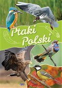 polish book : Ptaki Pols... - Opracowanie Zbiorowe