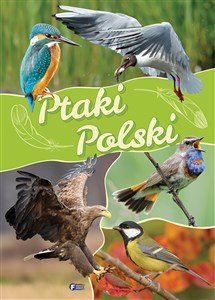 Obrazek Ptaki Polski