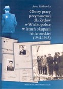polish book : Obozy prac... - Anna Ziółkowska
