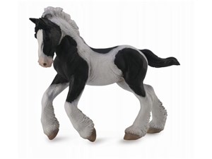 Obrazek Koń rasy Tinker - źrebię maści srokatej M