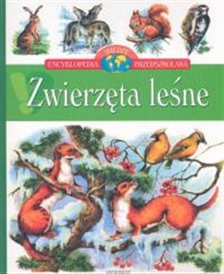 Obrazek Zwierzęta leśne Encyklopedia