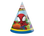 polish book : Czapeczki ...