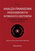 Książka : Analiza fi... - Lichota Wojciech, Rabiej Ewelina, Pitera Rafał