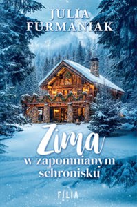 Picture of Zima w zapomnianym schronisku Wielkie Litery