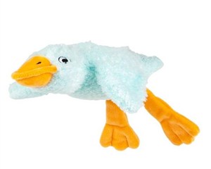 Obrazek Sensoryczna Gęś błękitna