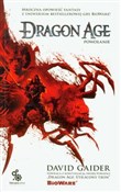 Dragon Age... - David Gaider -  foreign books in polish 