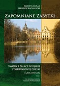 Zapomniane... - Elżbieta Molak, Ireneusz Racławicki -  foreign books in polish 